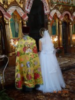 /album/poslugi-fotografa-webnode/dsc00342-jpg/